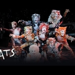 Grumpy Cat is joining the cast of Cats for one night only