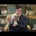 Stephen Colbert spends his day off with kittens and Trump jokes