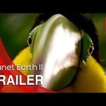 Break out the bongs, the trailer for Planet Earth II is here