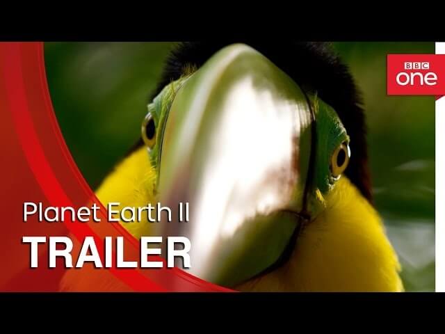 Break out the bongs, the trailer for Planet Earth II is here