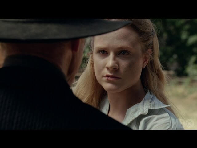 The time has come to understand what the hell is going on in Westworld