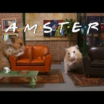 Seinfeld reimagined as a show about nothing—and hamsters