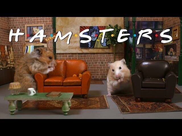 Seinfeld reimagined as a show about nothing—and hamsters