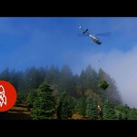 Apparently, the best way to harvest Christmas trees is by helicopter