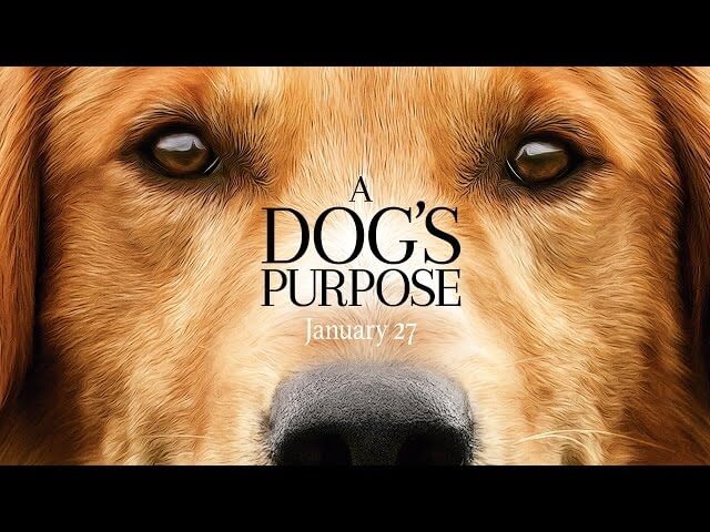 Director and star of A Dog’s Purpose disturbed by its apparent animal cruelty