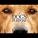 Director and star of A Dog’s Purpose disturbed by its apparent animal cruelty