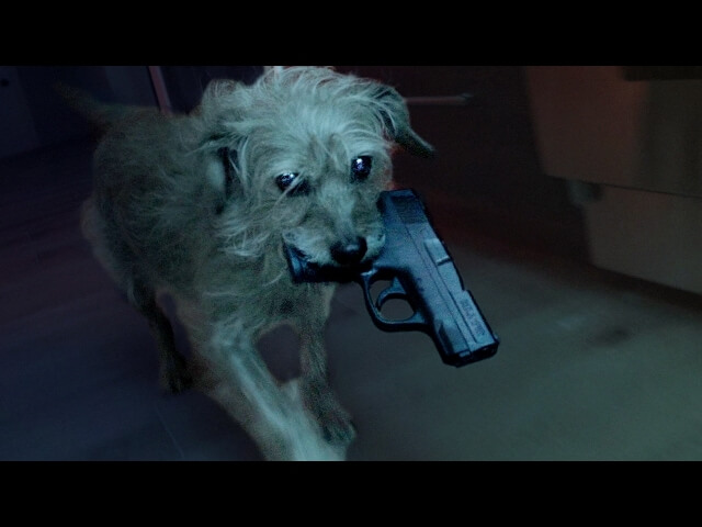 John Wick’s dog finally gets his glorious, violent revenge