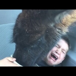 Watch this kid freak the fuck out over a llama