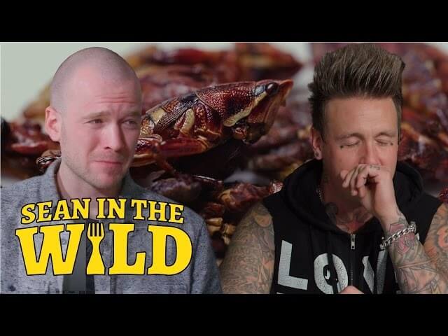 Watch Papa Roach eat a bunch of insects that somehow aren’t roaches