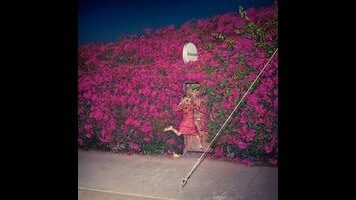 Feist’s Pleasure is a demanding record expressing demanding emotions