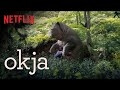 Meet the adorable, persecuted Super Pig in the trailer for Netflix’s Okja