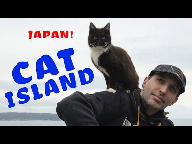 Fuck it all, let’s go to Cat Island