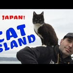 Fuck it all, let’s go to Cat Island