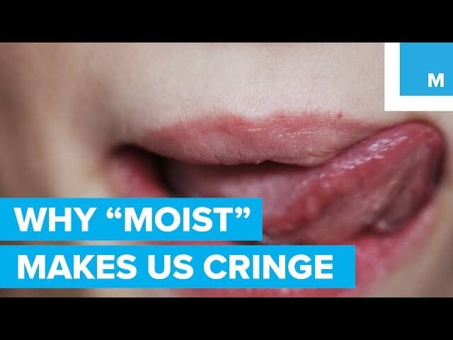 Please do not say the word “moist”