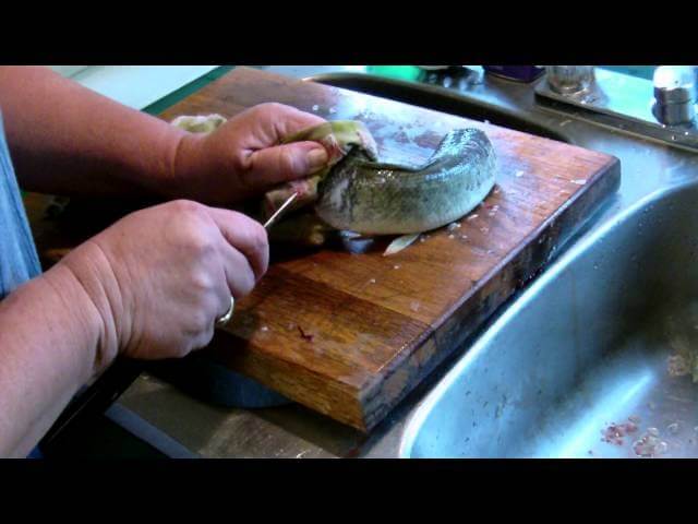 Dead tuna refuses to accept death even after being sliced in half