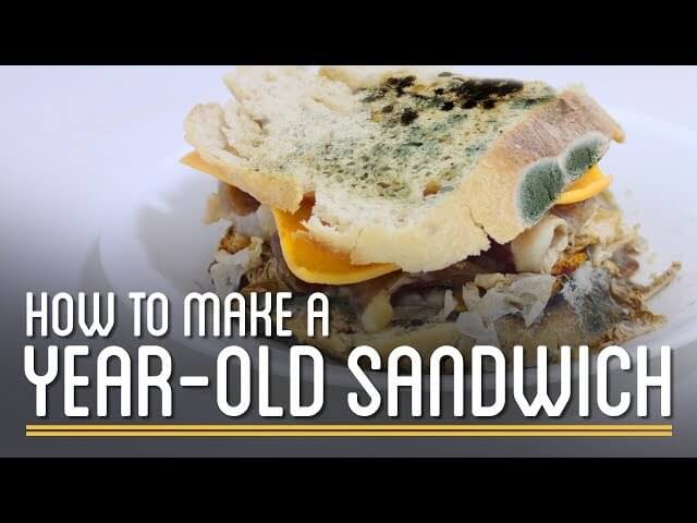 Here’s a sandwich that will last for over a year, in case you get hungry later