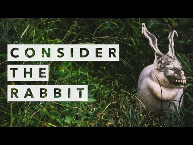 The strange history of terrifying bunny rabbits in film