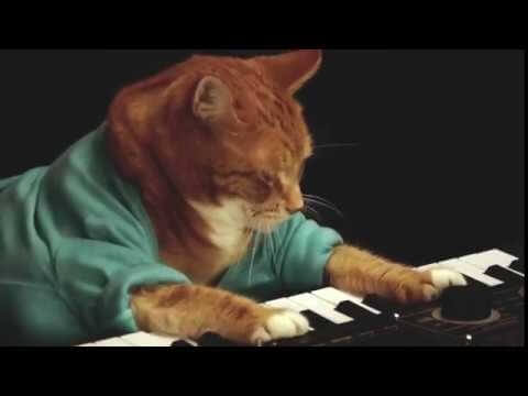 R.I.P. Keyboard Cat 2.0