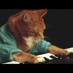 R.I.P. Keyboard Cat 2.0