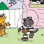 Don't sleep on Heathcliff, the internet's other orange cat