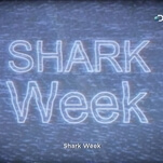 Shark Week returns to terrorize your TV for the 30th time