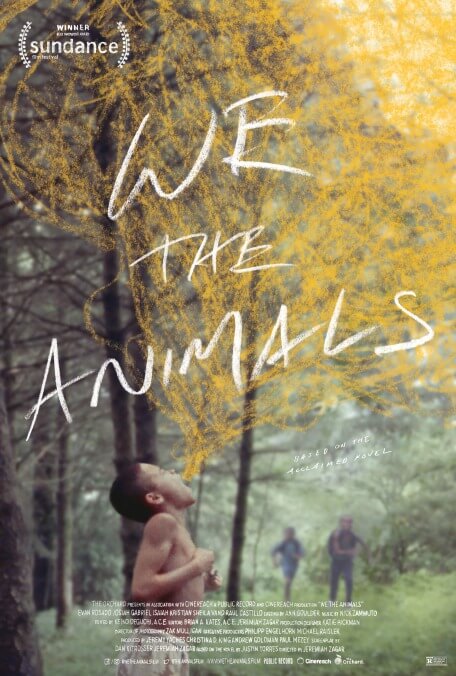 We The Animals offers a little Moonlight, a lot of Malick, and too much coming-of-age cliché