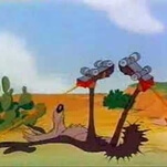 Warner Bros. to embrace the grim futility of life by putting a Wile E. Coyote movie in the works