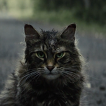 Pet Sematary's first trailer leans into the folk horror of Stephen King's scariest book