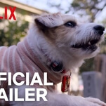 Netflix tries to start shit on National Cat Day by releasing a trailer for a Dogs docu-series