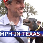 Stephen Colbert borrows Triumph from Conan to pester Beto O’Rourke and Ted Cruz