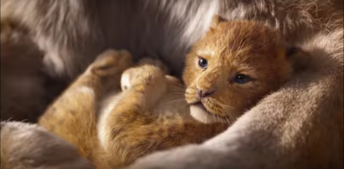 The circle of life continues in the first trailer for the live-action Lion King