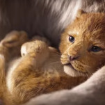 The circle of life continues in the first trailer for the live-action Lion King