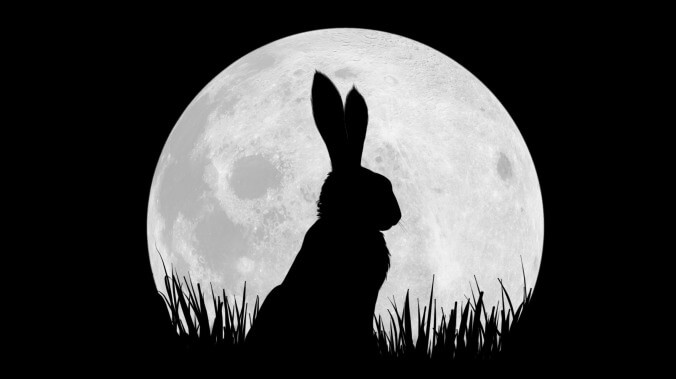 This trailer for Netflix and the BBC's Watership Down really is disarmingly cute 