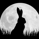 This trailer for Netflix and the BBC's Watership Down really is disarmingly cute 