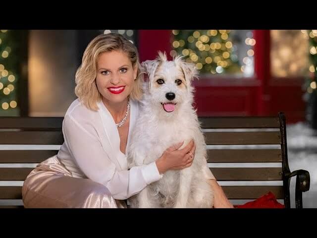 Why are Hallmark Christmas movies so addictive?