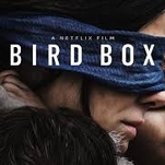 Netflix’s post-apocalyptic Sandra Bullock vehicle Bird Box fumbles in the dark