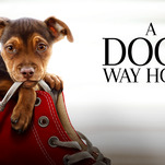 A Dog's Way Home is a sweet, simple family film with a bizarre morbid streak