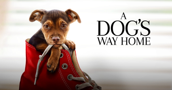 A Dog's Way Home is a sweet, simple family film with a bizarre morbid streak