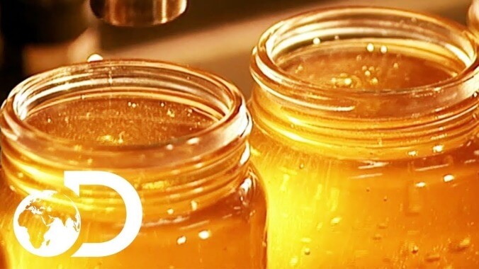 Discovery Channel's been looping a video about honey for more than 26 hours and it shows no signs of stopping