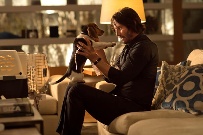 John Wick wants to wish us all a happy National Puppy Day, which is a little rich