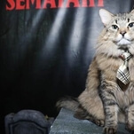 Meet Tonic, the tie-wearing star of Pet Sematary (who is also a cat)