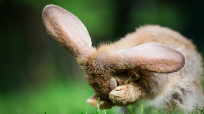 In 1726, a woman convinced doctors she had given birth to rabbits