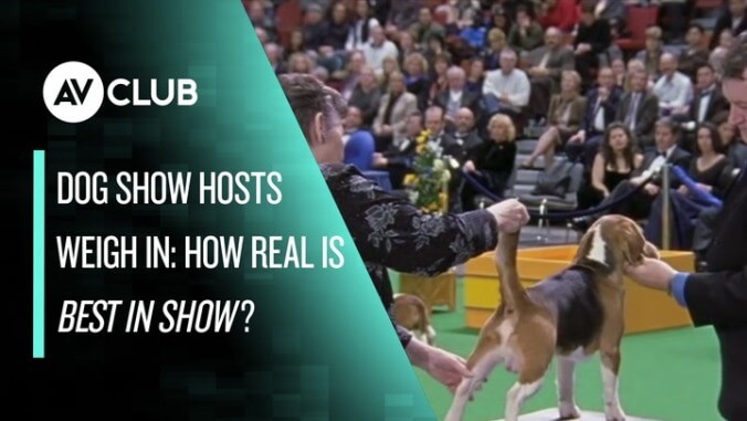 Dog show experts weigh in: How accurate is Best In Show?