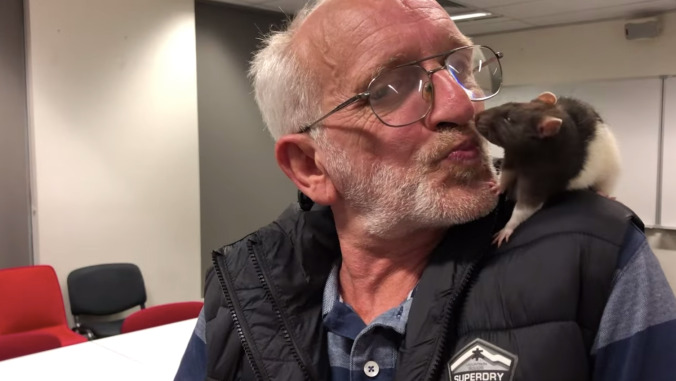 Enjoy this soul-warming story of the internet helping a man reunite with his stolen pet rat