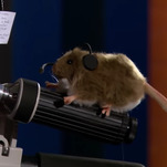 Conan O'Brien is obsessed with the Tidy Mouse