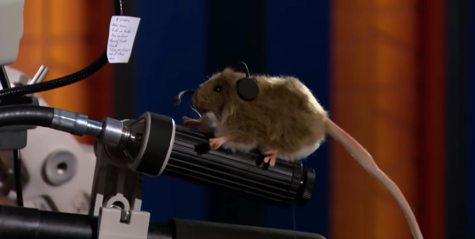 Conan O'Brien is obsessed with the Tidy Mouse