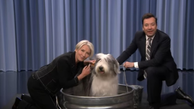 Emma Thompson talks hosting SNL, playing a late-night host, and then washes a dog with Jimmy Fallon