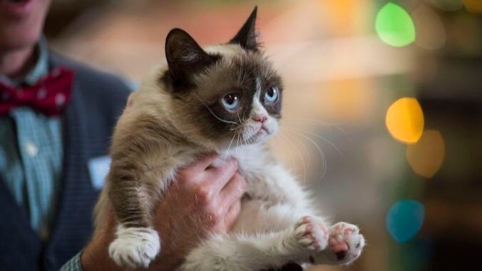 R.I.P. Grumpy Cat, a movie star, meme staple, and very good kitty