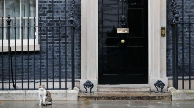 Theresa May didn't want her resignation upstaged by the real star of British politics, Larry The Cat