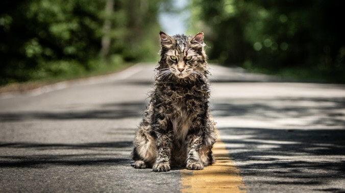 R.I.P. Leo The Cat, a.k.a. Pet Sematary's Church